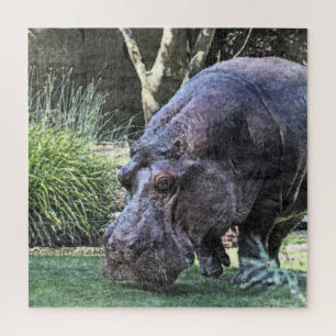 painted hippopotamus jigsaw puzzle