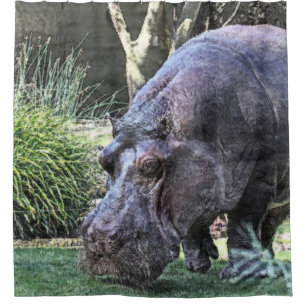 painted hippopotamus shower curtain