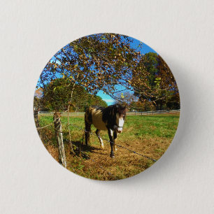 Painted Horse, 6 Cm Round Badge
