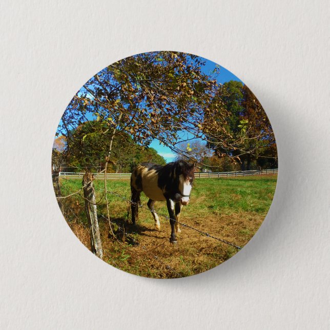 Painted Horse, 6 Cm Round Badge (Front)