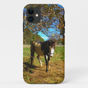 Painted Horse, iPhone 11 Case