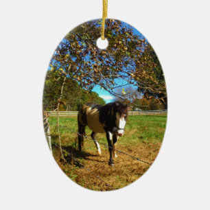 Painted Horse, Ceramic Tree Decoration