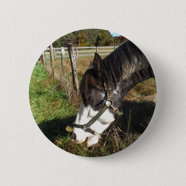 Painted Horse, Eating Queen Ann Lace flower 6 Cm Round Badge (Front)