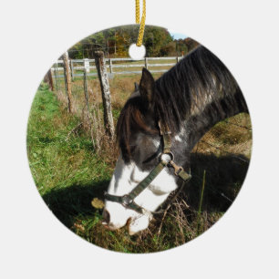 Painted Horse, Eating Queen Ann Lace flower Ceramic Tree Decoration