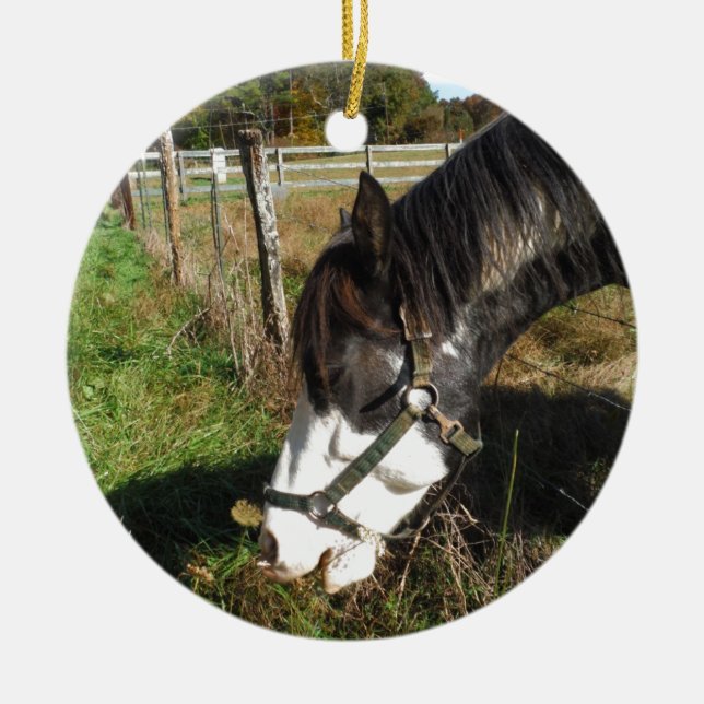 Painted Horse, Eating Queen Ann Lace flower Ceramic Tree Decoration (Front)