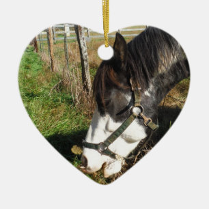 Painted Horse, Eating Queen Ann Lace flower Ceramic Tree Decoration