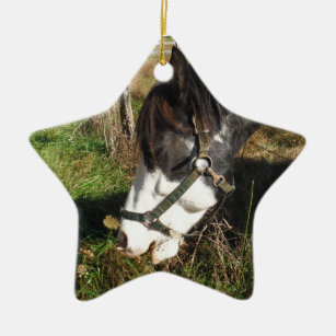 Painted Horse, Eating Queen Ann Lace flower Ceramic Tree Decoration