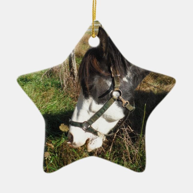 Painted Horse, Eating Queen Ann Lace flower Ceramic Tree Decoration (Front)