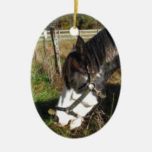 Painted Horse, Eating Queen Ann Lace flower Ceramic Tree Decoration