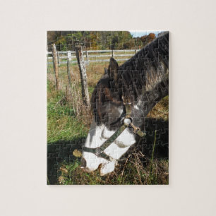Painted Horse, Eating Queen Ann Lace flower Jigsaw Puzzle