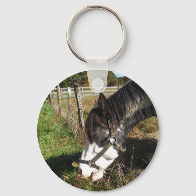 Painted Horse, Eating Queen Ann Lace flower Key Ring (Front)