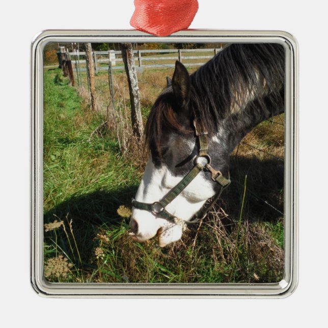 Painted Horse, Eating Queen Ann Lace flower Metal Tree Decoration (Front)