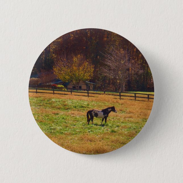 Painted Horse in the Distance 6 Cm Round Badge (Front)