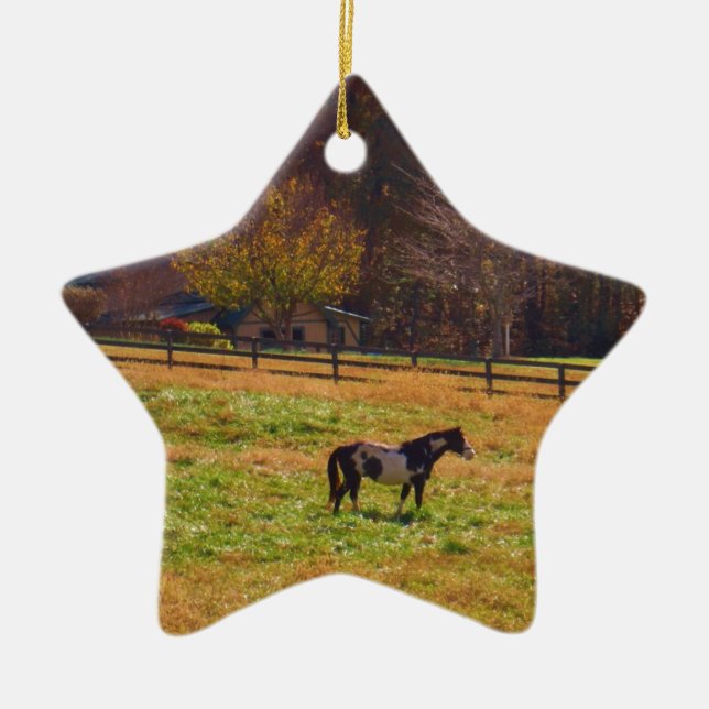 Painted Horse in the Distance Ceramic Tree Decoration (Front)