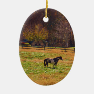 Painted Horse in the Distance Ceramic Tree Decoration