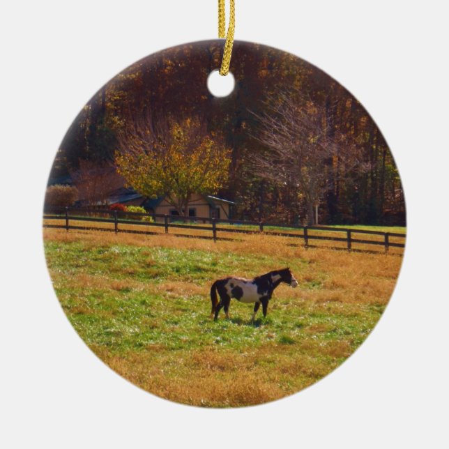 Painted Horse in the Distance Ceramic Tree Decoration (Front)