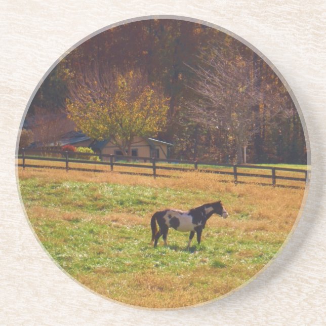 Painted Horse in the Distance Coaster (Front)