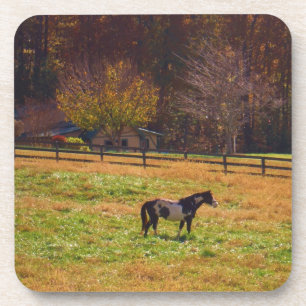 Painted Horse in the Distance Coaster
