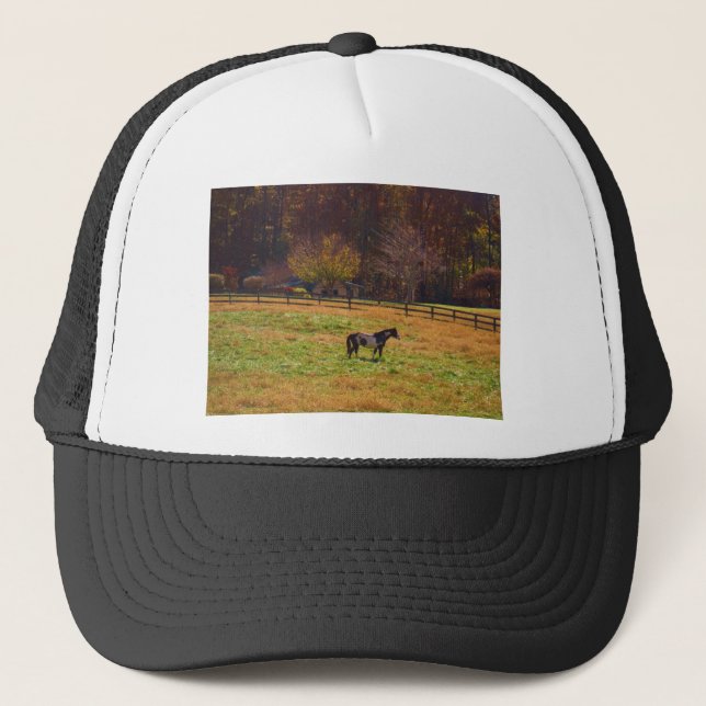 Painted Horse in the Distance Trucker Hat (Front)