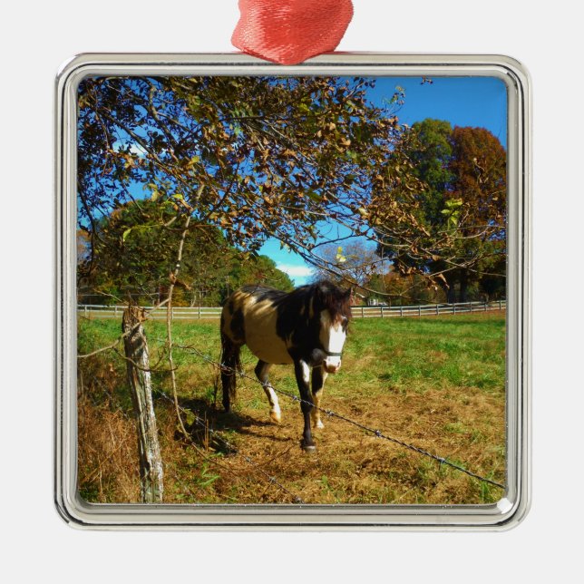Painted Horse, Metal Tree Decoration (Front)