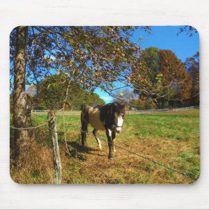 Painted Horse, Mouse Mat