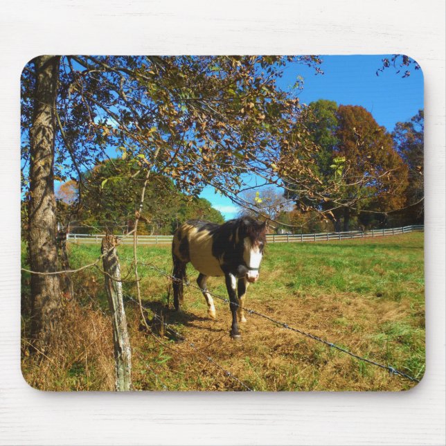 Painted Horse, Mouse Mat (Front)