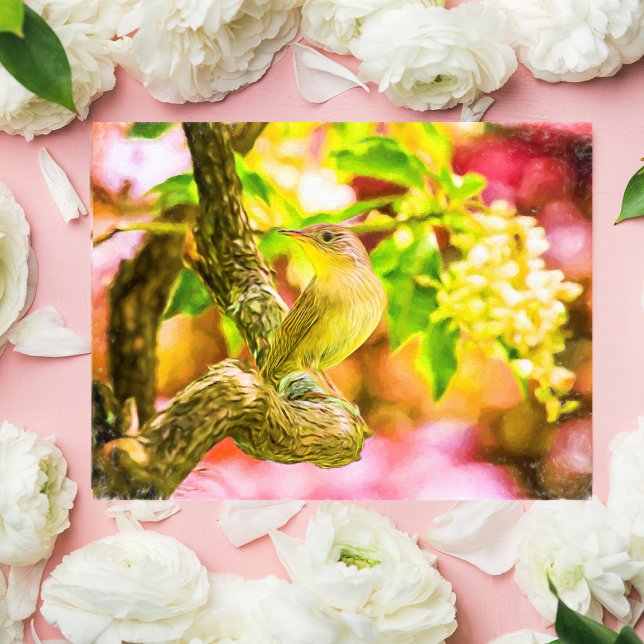 Painted House Wren Bird Postcard (Creator Uploaded)