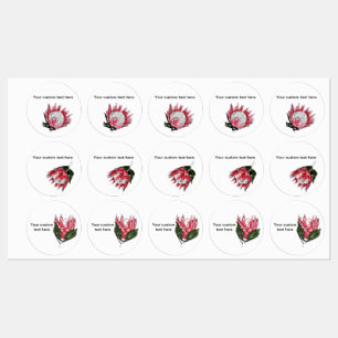 Painted King Protea labels