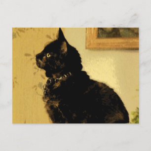 Painted Kitty Postcard