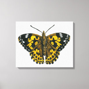 Painted lady butterfly canvas print