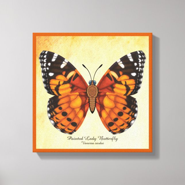 Painted Lady Butterfly Canvas Print (Front)