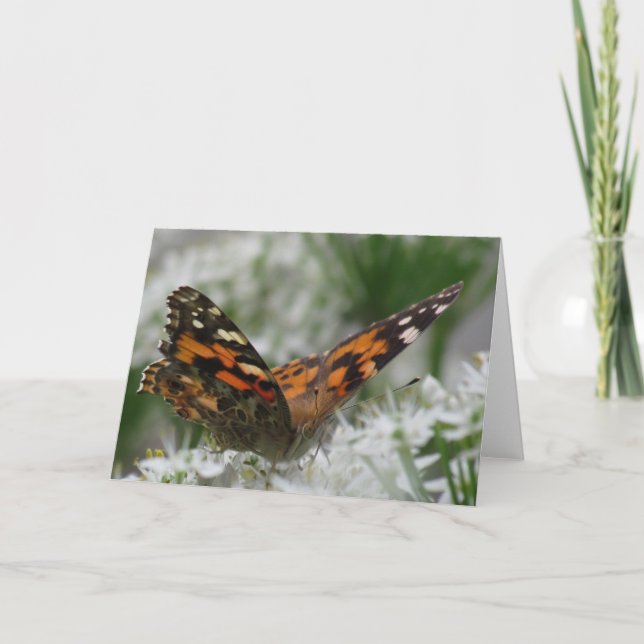 Painted Lady Butterfly Card (Front)