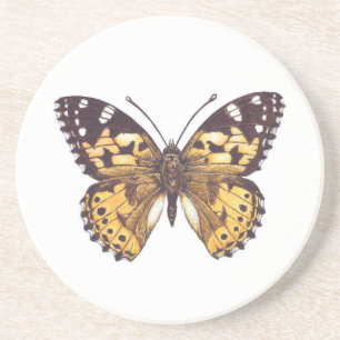 Painted lady butterfly coaster