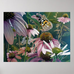 Painted Lady Butterfly Coneflowers Art 18x24 Poster