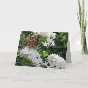 Painted Lady Butterfly Greeting Card
