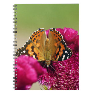 Painted Lady Butterfly Notebook