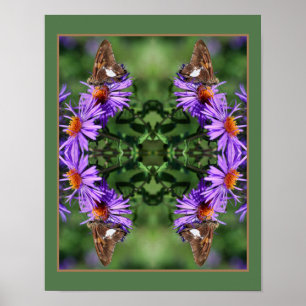 Painted Lady Butterfly On Aster Flower Abstract   Poster