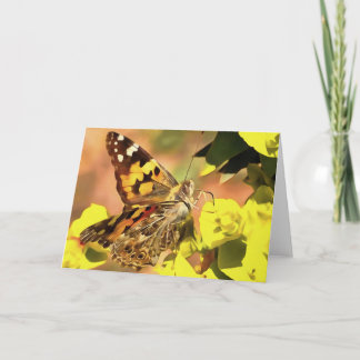 Painted Lady Butterfly on Myrtle Spurge  Card