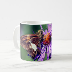 Painted Lady Butterfly On Wild Aster Flower Coffee Mug