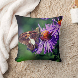 Painted Lady Butterfly On Wild Aster Flower Cushion