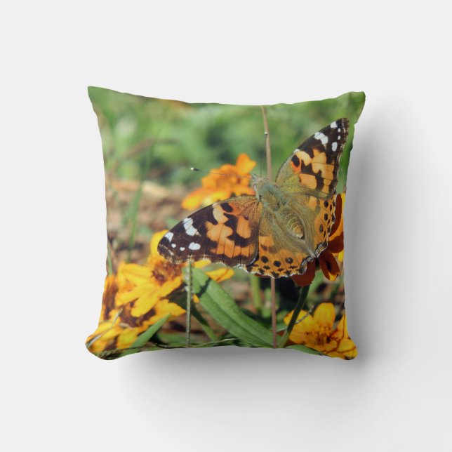 Painted Lady Butterfly on Zinnia Throw Pillow (Front)