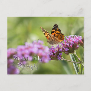 Painted Lady Butterfly Postcard