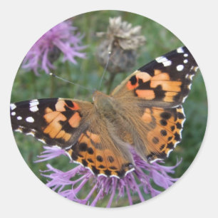 Painted Lady Butterfly Stickers