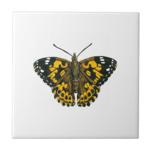 Painted lady butterfly tile