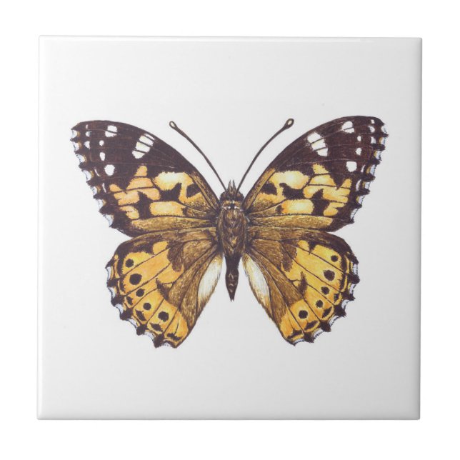 Painted lady butterfly tile (Front)