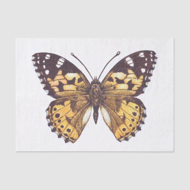 Painted lady butterfly tissue paper (Front)
