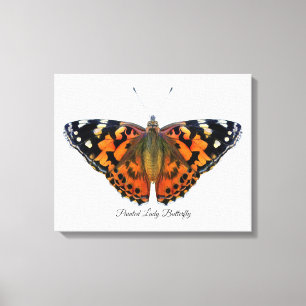 Painted Lady Butterfly Watercolor Painting Canvas