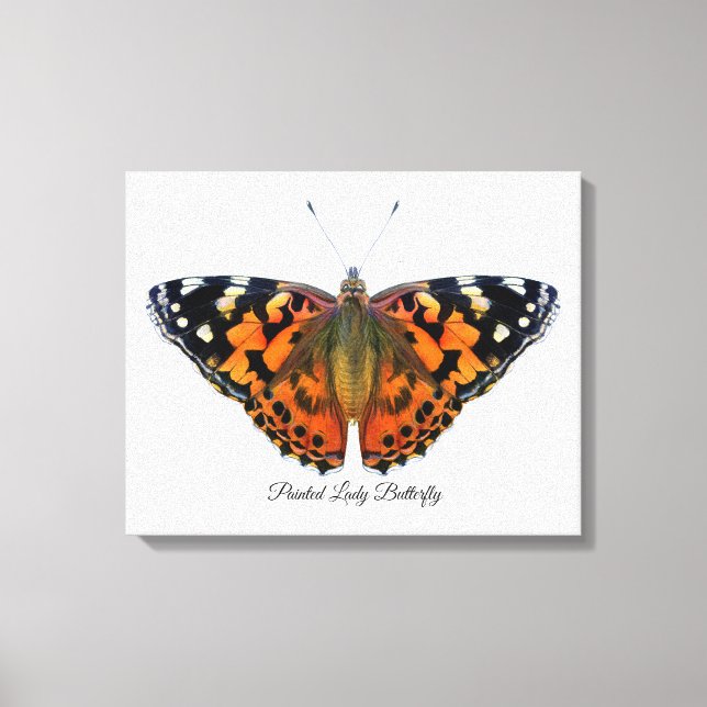 Painted Lady Butterfly Watercolor Painting Canvas  (Front)