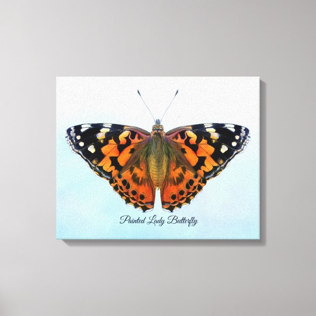 Painted Lady Butterfly Watercolor Painting Canvas Print (Front)