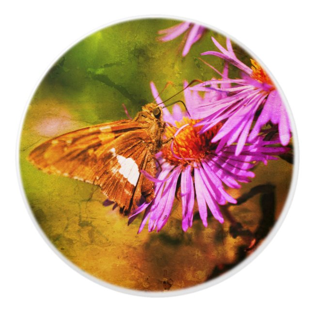 Painted Lady Butterfly Wild Aster Flower Abstract Ceramic Knob (Front)